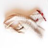 Red Border Khadi Stole (Dupatta) – Handwoven Cotton Scarf for Women