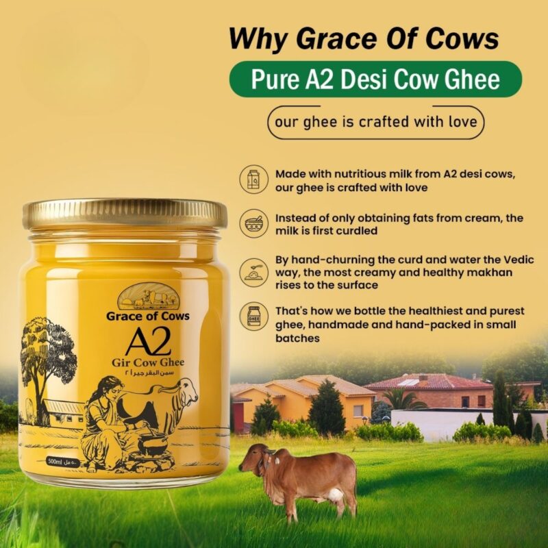 Grace of Cows A2 Gir Cow Ghee 500ml, 100% Pure & Natural, Hand Churned from Creamy Bilona Method - Image 2