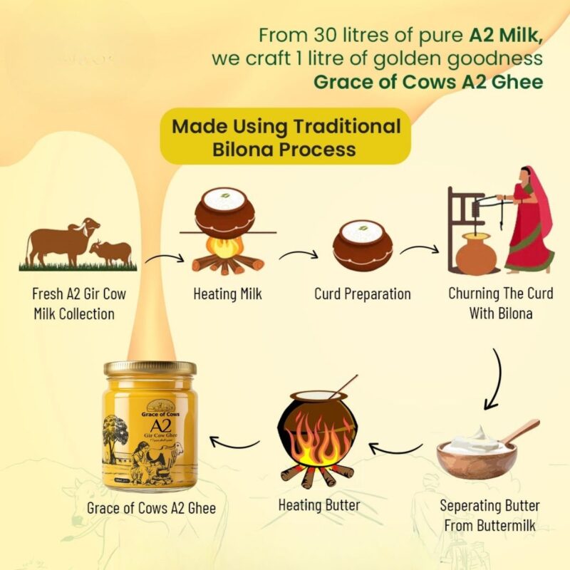 Grace of Cows A2 Gir Cow Ghee 500ml, 100% Pure & Natural, Hand Churned from Creamy Bilona Method - Image 3